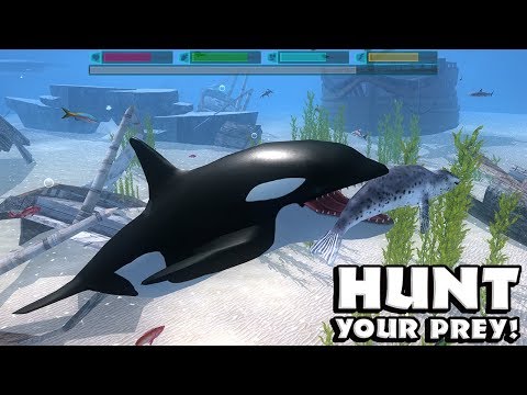 Ultimate Ocean Simulator (by Gluten Free Games) - Part 1 - Android Gameplay [HD]