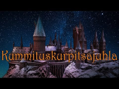 🌠 Lapsille & nuorille - Vierailu Tylypahkassa