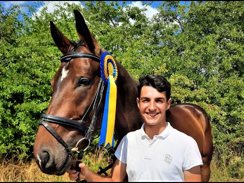 Gremlin von Worrenberg, OL, geb. 2015, Grey Flanell x L'Espoir, 167 cm