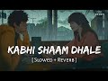 Kabhi Shaam Dhale Toh Mere Dil Mein Aa Jaana (Slowed + Reverb) | Mohammad Faiz | SR Lofi