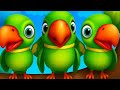 Mittu Mittu Main Tota Main Tota I Am A Parrot I Am A Parrot Nurseryrhymes Mitthu Maintota