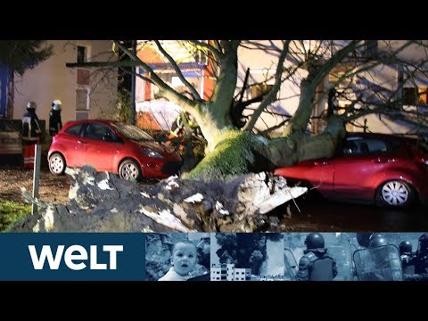 STURM SABINE: Verkehrschaos im Norden - Süden wartet auf Orkanfront