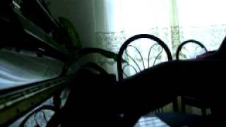 Through Spellbinding Branches - aldamuro cover