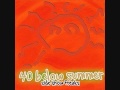 40 Below Summer - Sunburn