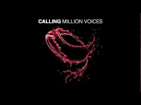 Otto Knows/Alesso & Sebastian Ingrosso  - Calling Million Voices (DJW Mashup)