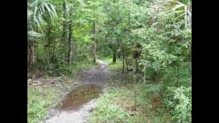 preview picture of video 'Hillsborough River State Park, Florida Trail day hike in the WILD'