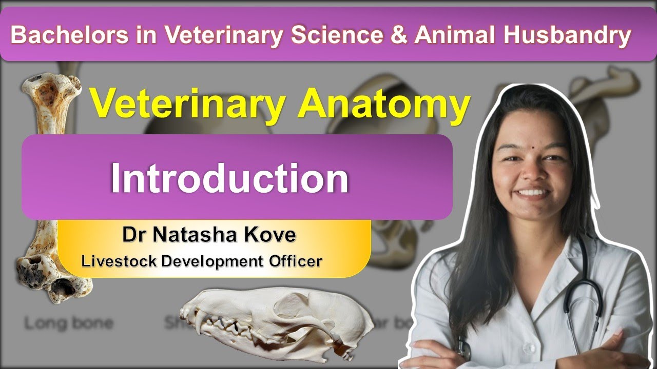 Veterinary Anatomy Introduction | Introduction terminology Veterinary anatomy