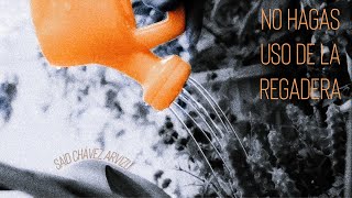 No Hagas Uso de la Regadera | Cortometraje de Said Chávez