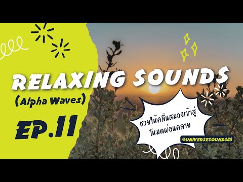 EP.11》432Hz – คลื่นอัลฟ่าบำบัดร่างกายและจิตวิญญาณ | หลับลึก คืนความสมดุลในขณะคุณหลับ RELAXING SOUNDS