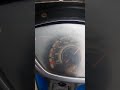 Top Speed Supra X 125 Bore Up 132cc