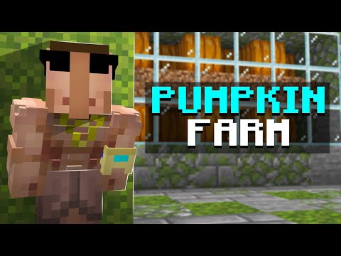 How to Build Pumpkin Farm on The DonutSMP! (NEW META)