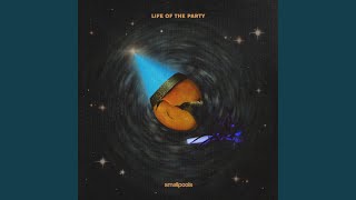life of the party