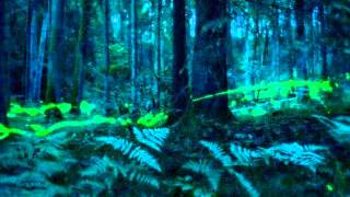 Black tape for a blue girl - With a Million Tears.