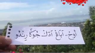 Download lagu Lagu ini bikin baper lagu balasan dari adek berjilbab ungu mp3