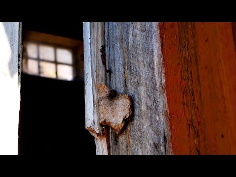 UTHUSEN på KULLEN utanför Ronneby #2 - 0.7x EDIT - 210323 - Blekinge - (Robert Rich + Lustmord)