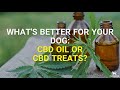 CBD Dog Treats | CBD For Dogs