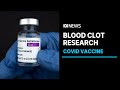 New research into the first Covid-19 vaccine Astra-Zeneca and its links to blood clotting | ABC News