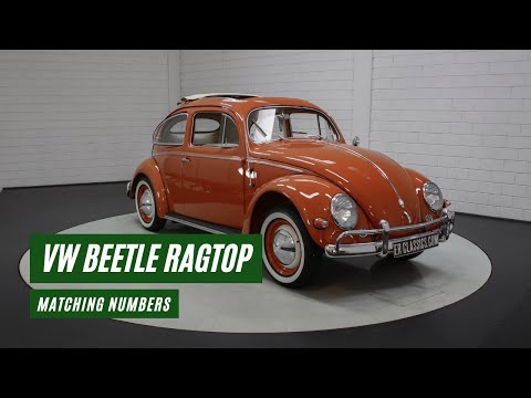 1957 Volkswagen Beetle (CC-1540510) for sale in Waalwijk, Noord Brabant