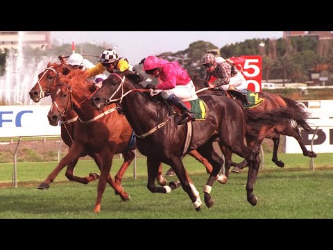 The Big O  - The Octagonal Collection