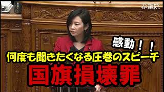 【参政党】「国旗損壊罪」 梅村みずほ議員 国会質疑 2026年7月17日
