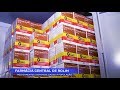 Farmácia Central medicamentos são disponibilizados a população