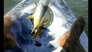 preview picture of video 'Pesca de caiaque em Vila Velha'