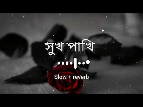 সুখ পাখি তোর প্রেমে মন মজাইয়া আমি / Shukh pakhi tor preme /bm baplu official | F A FUMON | lofi song