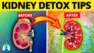 Top 10 Ways to Detox and Cleanse Your Kidneys Naturally
