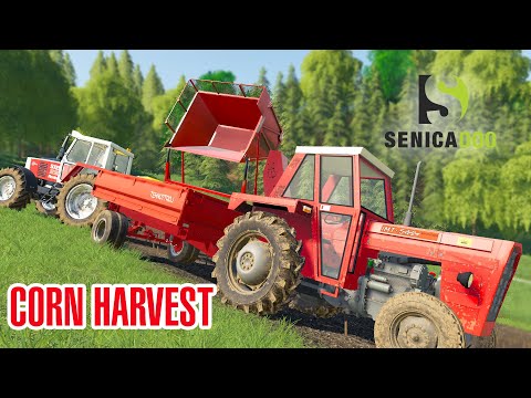 WTS19 - Corn Harvesting ft. SIP Tornado [slovenia]