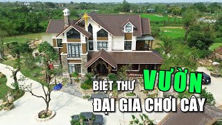 Lạc lối trước không gian biệt thự vườn của đại gia chơi cây