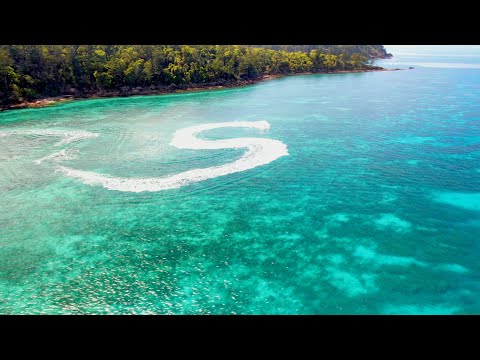 Chase The Sunlight  // 4K 🎥