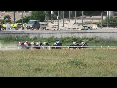 Trka "Shakira Boma" 26.05.2019 Alkatraz - Aleksandar Šašić