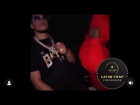 Tali Goya x young flow x coyote63 #freecoyote63 #taligoya #youngflow #coyote63