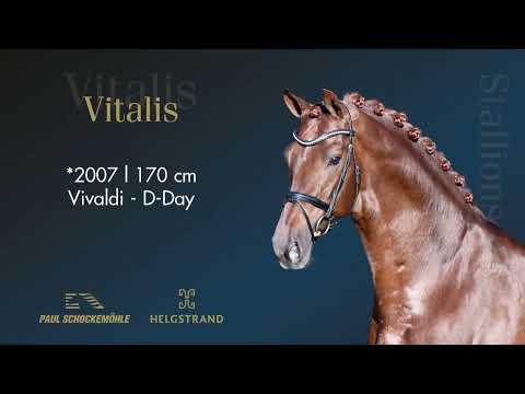 Vitalis - Dressurkollektion 2022 Schockemöhle & Helgstrand (DEU)
