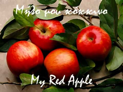 Milo mou kokkino - Μήλο μου κόκκινο - My Red Apple (Greek) - Athens Symphony Orchestra