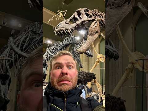 A Dinosaur Discovery Geocache!