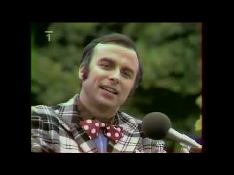 Banjo Band Ivana Mládka: Zmalovaná [1978]