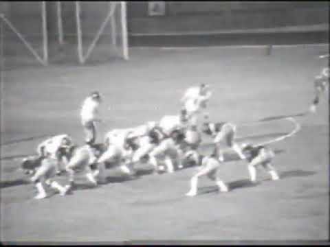 24/05/1986 Frogs Legnano - Giaguari Torino 24-8