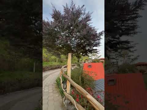VOLCAN TUNGURAHUA en baños de agua Santa #usa #ecuador #volcan #tourism