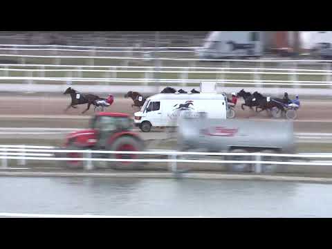 2020.03.07. 06. futam - ÜVEGTIGRIS HENDIKEP