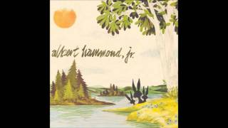 Everyone Gets A Star - Albert Hammond Jr [HQ]