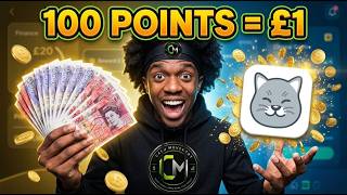 How To Create a Curious Cat Survey Account & Start Earning in 2026
