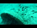 Punta Planka Diving Kroatien - Tauchplatz MIG ...