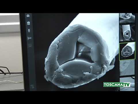 2020-01-09 PRATO - BUZZILAB, A RISCHIO PARTE STIPENDI DEGLI EX DIPENDENTI