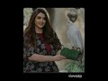 Dubai Princess Sheikha Mahra Beautiful Dance Sajauga Lit Kr Bi Tere Badn