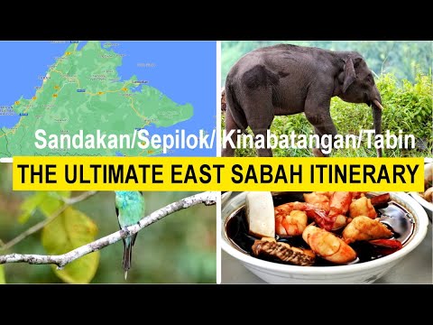 The ultimate itinerary to Sabah, Borneo (Sandakan,, Kinabatangan River, and Tabin) (EP 0 :Sabah)