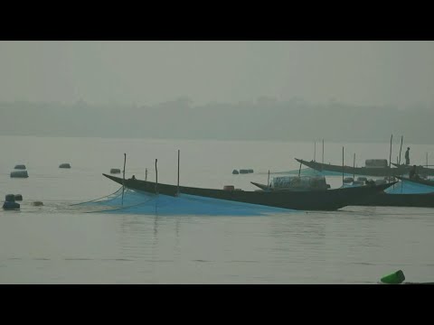 নিষিদ্ধি নেট জালে অবাধে চিংড়ি পোনা আহরণ | ETV News