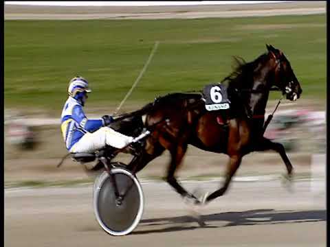 Trotto 01/03/2019 - 1ª corsa