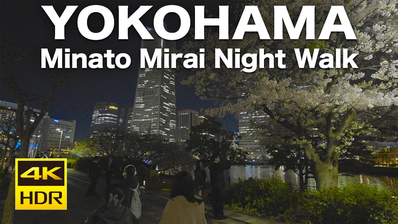 【4K HDR🇯🇵】Cherry blossoms at night create another world! A night stroll through Yokohama MinatoMirai