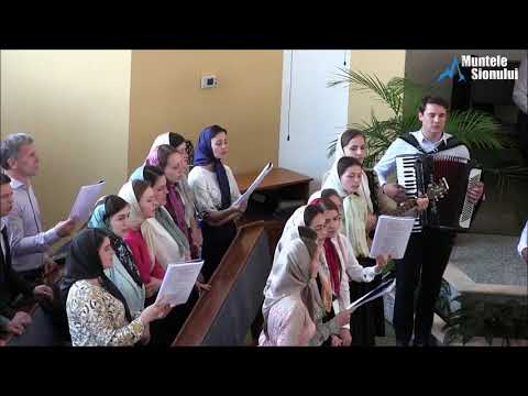 Beni Cibu & grupul - Când știu că toate aici sunt trecătoare